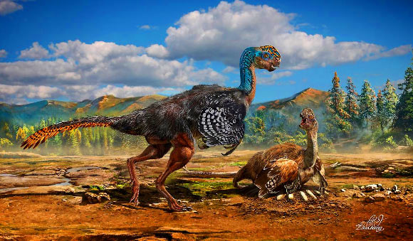 Hóa thạch khủng long kỳ lạ này thuộc nhóm khủng long có lông vũ oviraptor