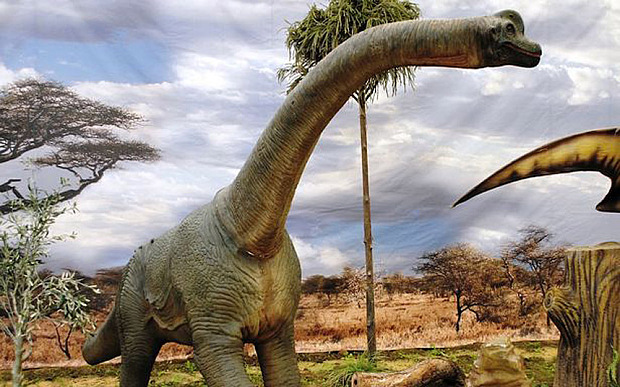 Hóa thạch loài khủng long khổng lồ này được tìm thấy từ năm 2008