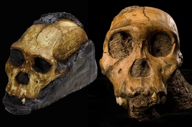 Phát hiện da hóa thạch cổ nhất thế giới