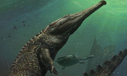 Đây là hóa thạch cá sấu sống ở biển lớn nhất từ trước tới nay. Ảnh: Davide Bonadonna