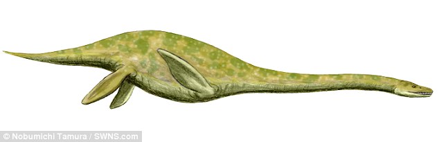 Hình minh họa loài plesiosaur có cổ dài 2,4 mét