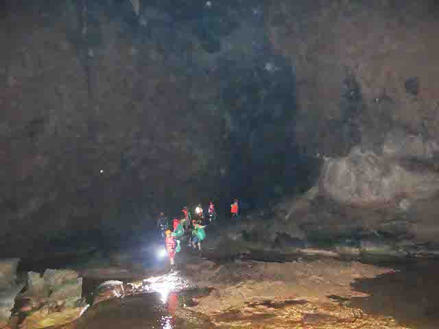 Các nhà thám hiểm phát hiện hóa thạch triệu năm trong hang Tối