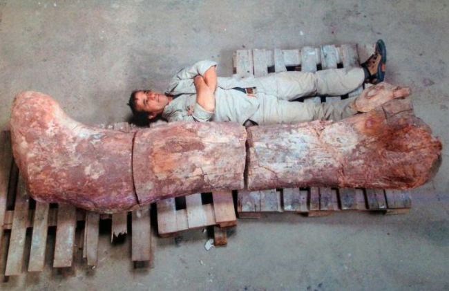 hóa thạch khủng long lớn nhất được phát hiện