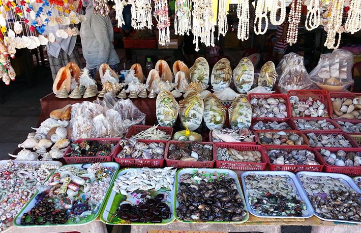 Kinh nghiệm du lịch Cù Lao Chàm đầy đủ, chi tiết nhất