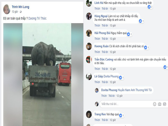 Người dân hãi hùng nhìn chiếc xe tải chở voi đi trên quốc lộ