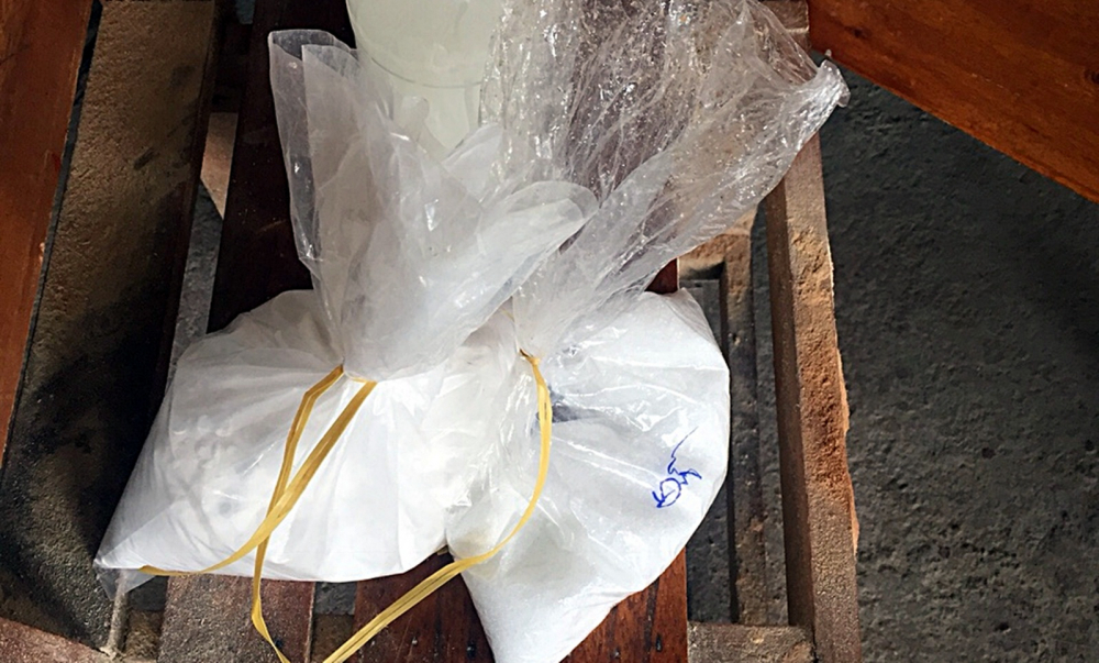 Quảng Nam: Phát hiện cơ sở sử dụng chất tẩy không rõ nguồn gốc để ngâm ủ, tẩy trắng vỏ dừa