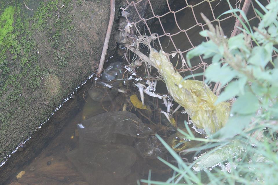 Hà Tĩnh: Người dân nghi Cụm công nghiệp Bắc Cẩm Xuyên xả thải làm cá chết rải rác ở kênh N3