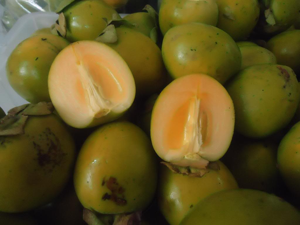 Hồng ngâm của nhiều tỉnh miền Bắc được coi là trái cây đặc sản, giòn ngon và không hóa chất