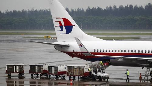 Đàn vịt đâm vỡ kính máy bay Malaysia Airlines