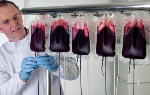  Dịch vụ cấy máu từ người trẻ tuổi để chống lão hóa đang được nhiều người già có tiền ở Mỹ đang ký tham gia dù có giá đắt đỏ. 