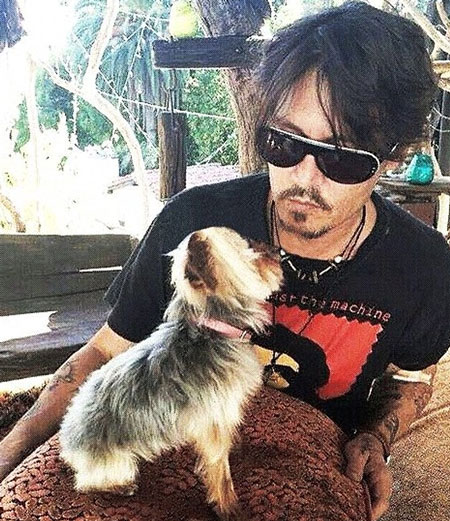 Tài tử Jphnny Depp sẵn sàng chi hàng nghìn đô để cứu cún cưng 