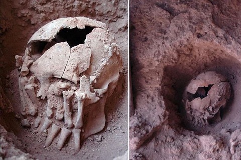 Hộp sọ người 9.000 năm tuổi được tìm thấy ở động Lapa do Santo, miền đông Brazil