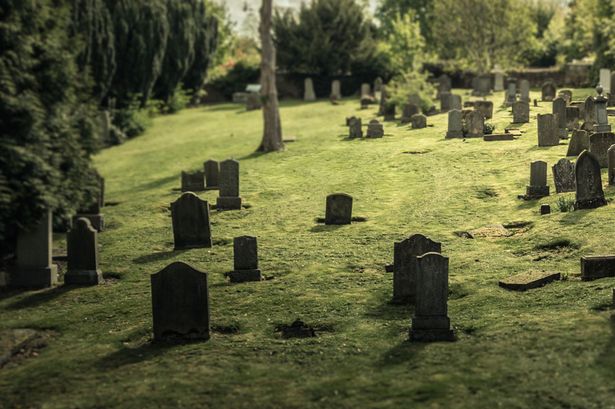 Nghĩa trang online là một cách để tưởng nhớ đến người đã khuất
