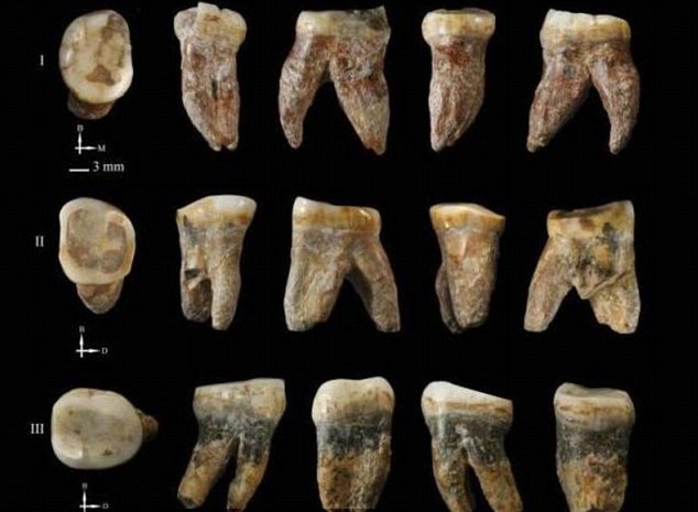 Các mẫu răng hóa thạch này là thành tựu khám phá thế giới về khảo cổ mới nhất