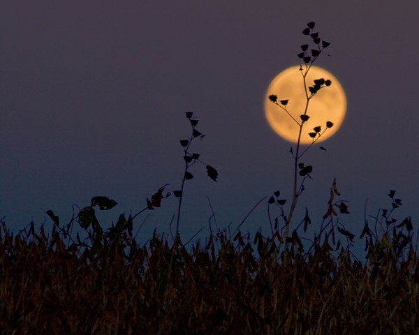 Hiện tượng siêu trăng được cho là sẽ xuất hiện vào đêm trước nhật thực
