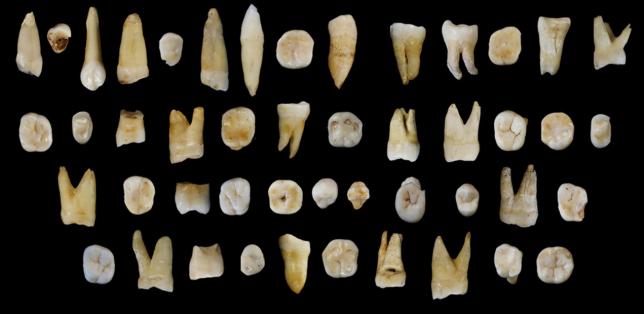47 chiếc răng 80.000 năm tuổi được các nhà khảo cổ học phát hiện tại Trung Quốc