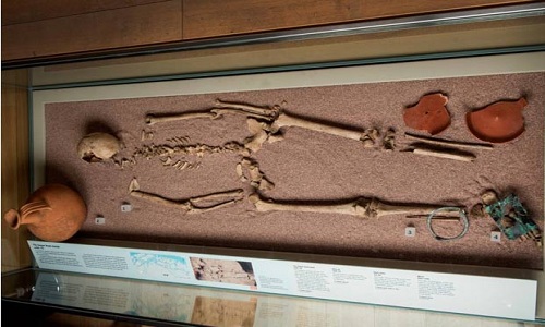 Các nhà khảo cổ phát hiện bộ xương người phụ nữ mang nhiễm sắc thể nam. Ảnh: Bảo tàng London