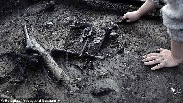 Các nhà khảo cổ phát hiện bộ xương của người phụ nữ bị chặt đầu ở đầm lầy 