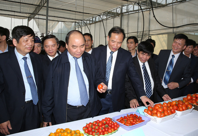 Phó Thủ tướng Nguyễn Xuân Phúc đánh giá cao vai trò của khoa học công nghệ trong việc nâng cao năng suất chất lượng nông nghiệp