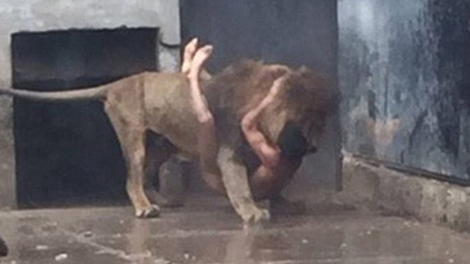 Chàng thanh niên bị sư tử vồ khi nhảy vào chuồng thú. Ảnh: CNN