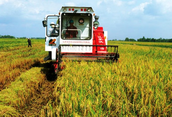 Tăng cường ứng dụng tiến bộ KHCN trong nông nghiệp