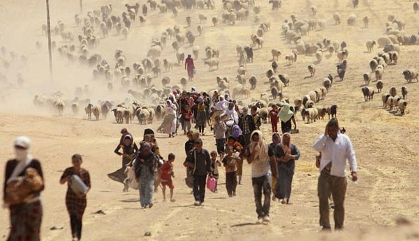 Khủng bố IS đã tạo ra một cuộc khủng hoảng người tị nạn Yazidi ởIraq