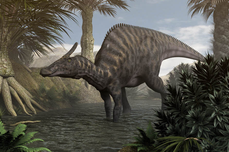 Một con khủng long khổng lồ Saurolophus angustirostris trưởng thành