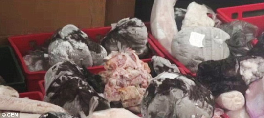 5 tấn thịt đông lạnh có tuổi đời tới 35 năm bị cảnh sát Romania thu giữ
