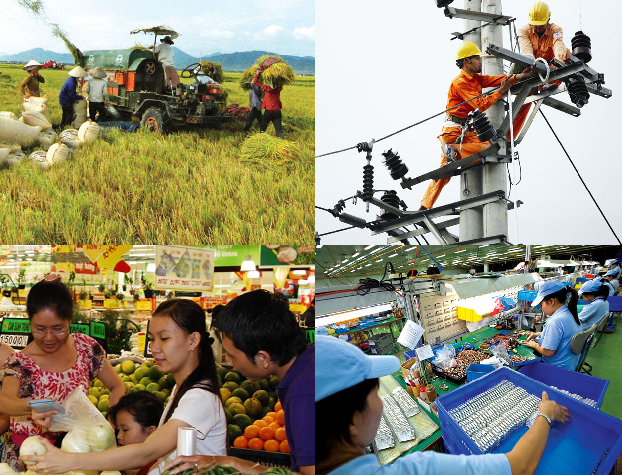Kinh tế Việt Nam đang có những bước tiến đáng kể, trở thành cuờng quốc sản xuất mới của Châu Á