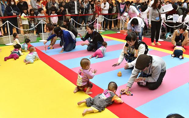600 em bé  ở Nhật Bản lập kỷ lục thế giới cho cuộc thi bò lớn nhất hành tinh 