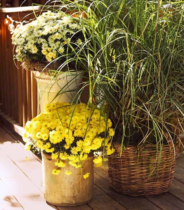 Cần bỏ chút thời gian để chăm sóc hoa tươi tốt Cần bỏ chút thời gian để chăm sóc hoa tươi tốt