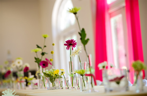 Hoa cúc là loài hoa tươi lâu nên rất thích hợp trồng trong nhà Hoa cúc là loài hoa tươi lâu nên rất thích hợp trồng trong nhà