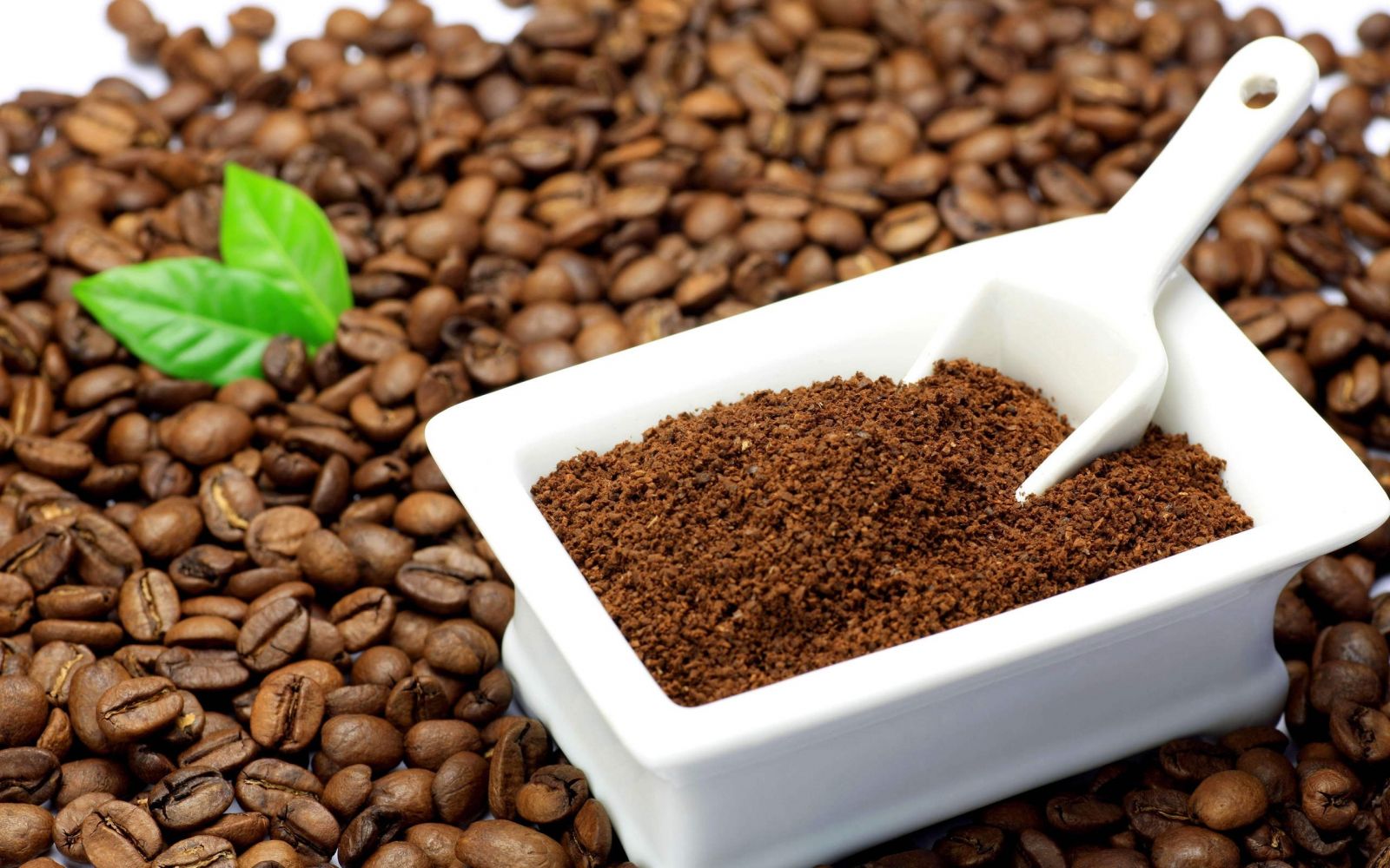 Bã cà phê với dưỡng chất chống oxi hóa dồi dào được sử dụng để làm trắng da hiệu quả tại nhà