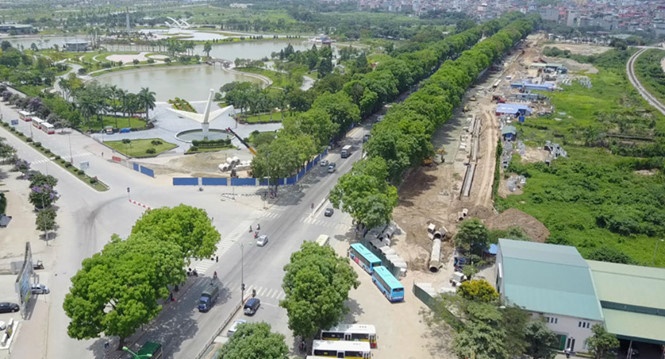 Những cây xà cừ trên đường Phạm Văn Đồng có thể bị di chuyển và đốn hạ cho dự án mở rộng đường