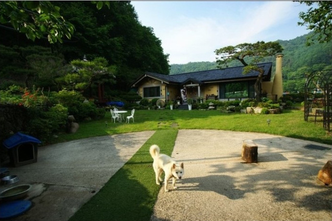 Căn nhà của cha mẹ Song Joong Ki trở thành địa điểm du lịch hấp dẫn