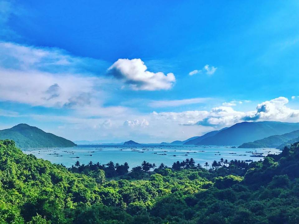 Vũng Rô là một vịnh nhỏ xanh biếc thuộc xã Hòa Xuân Nam, huyện Đông Hòa nằm ngay sát rìa dãy núi Đèo Cả. Vịnh cũng là ranh giới tự nhiên trên biển giữa Phú Yên với Khánh Hòa.