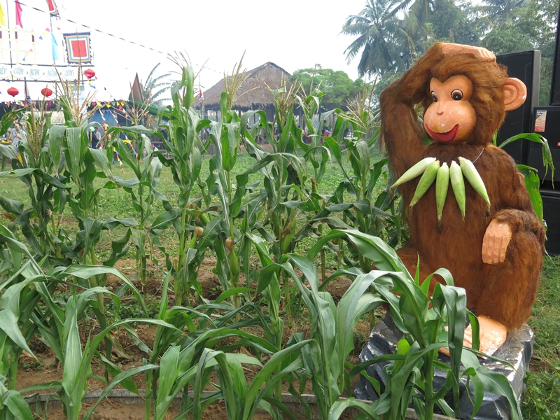 Lễ hội bắp Cẩm Nam: “Đại tiệc” với 10.000 trái bắp