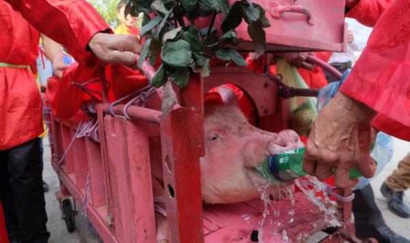 Lễ hội chém lợn ở Bắc Ninh: Ông Ỉn được rước đi ‘trảm’ kín