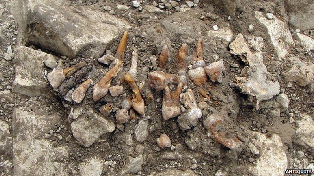 răng giả sớm nhất ở Tây Âu