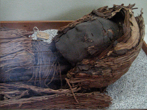 xác ướp 7000 năm tuổi