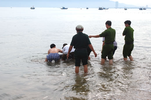 Đà Nẵng: Cá heo ‘quyến luyến’ người dân, quyết không chịu bơi về biển