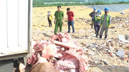 Tin tức trong ngày: Bắt giữ 6 tạ thịt thối tại Bình Định