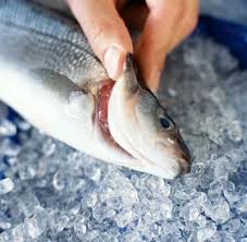 Cách chọn cá tươi ngon, an toàn tránh nhiễm độc