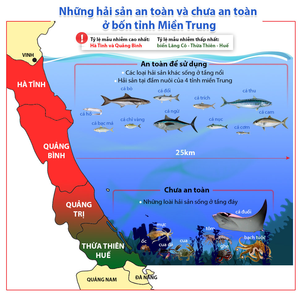 ‘Điểm mặt’ những loại hải sản chưa an toàn ở 4 tỉnh miền Trung