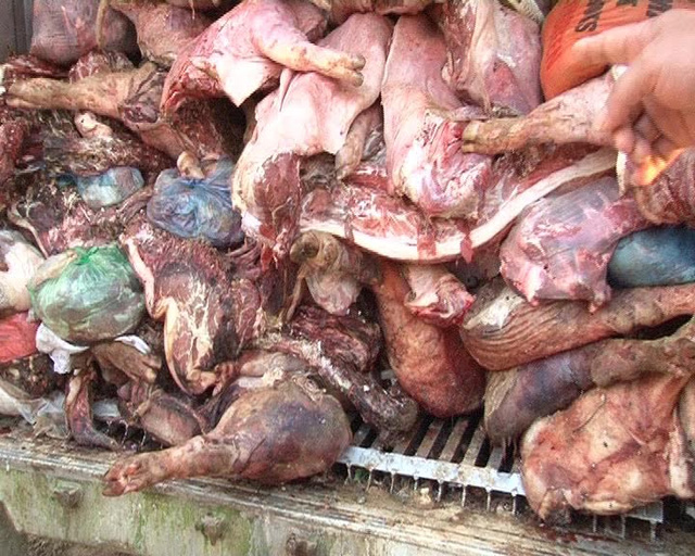 Bản tin tiêu dùng 14/10: Thịt lợn ốm chết suýt lên bàn nhậu