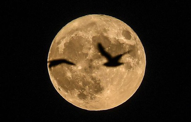 Siêu trăng duy nhất trong năm sẽ xuất hiện vào mấy giờ tối nay?
