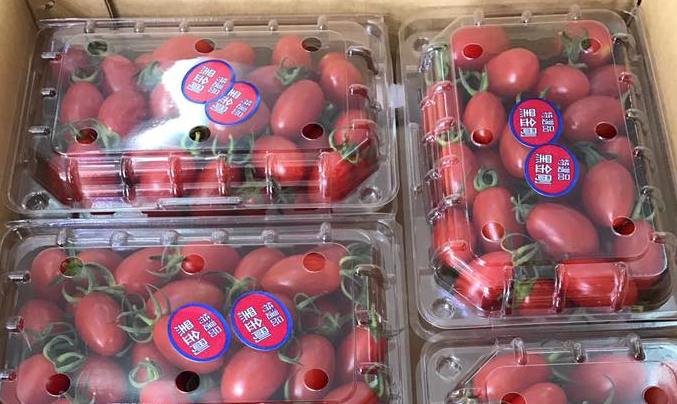 Cà chua bi Đài Loan giá nửa triệu lại ‘gây sốt’ bà nội trợ Việt