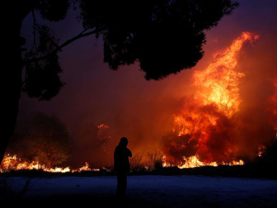 Cháy rừng ở Hy Lạp: Lửa càn quét, nhiều người chết gục trên xe và ngay trong sân nhà