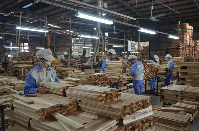 Giải pháp giúp ngành gỗ Việt Nam nâng cao năng lực, phát triển bền vững