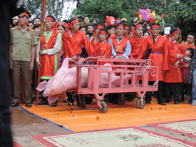 Nhiều chuyên gia văn hóa đã lên tiếng phản đối Lễ hội chém lợn tại thôn Ném Thượng.